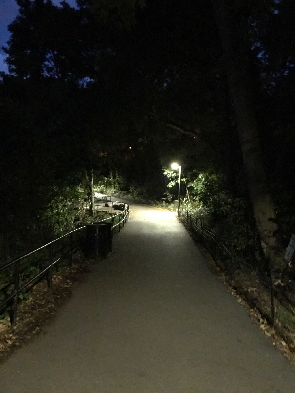 Night Trail