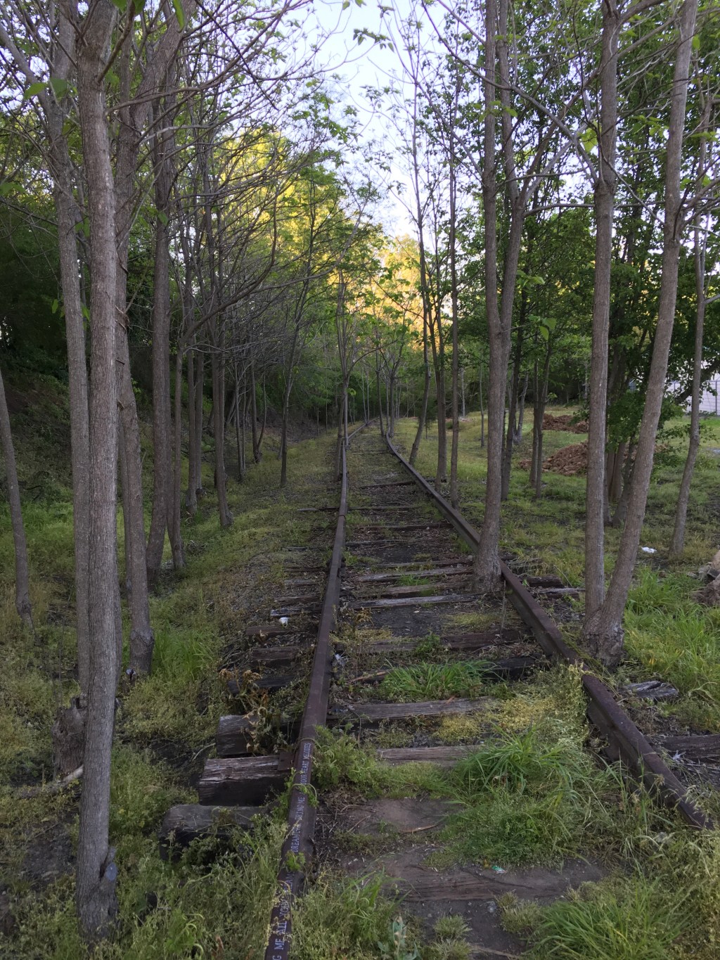 Abandoned railroad