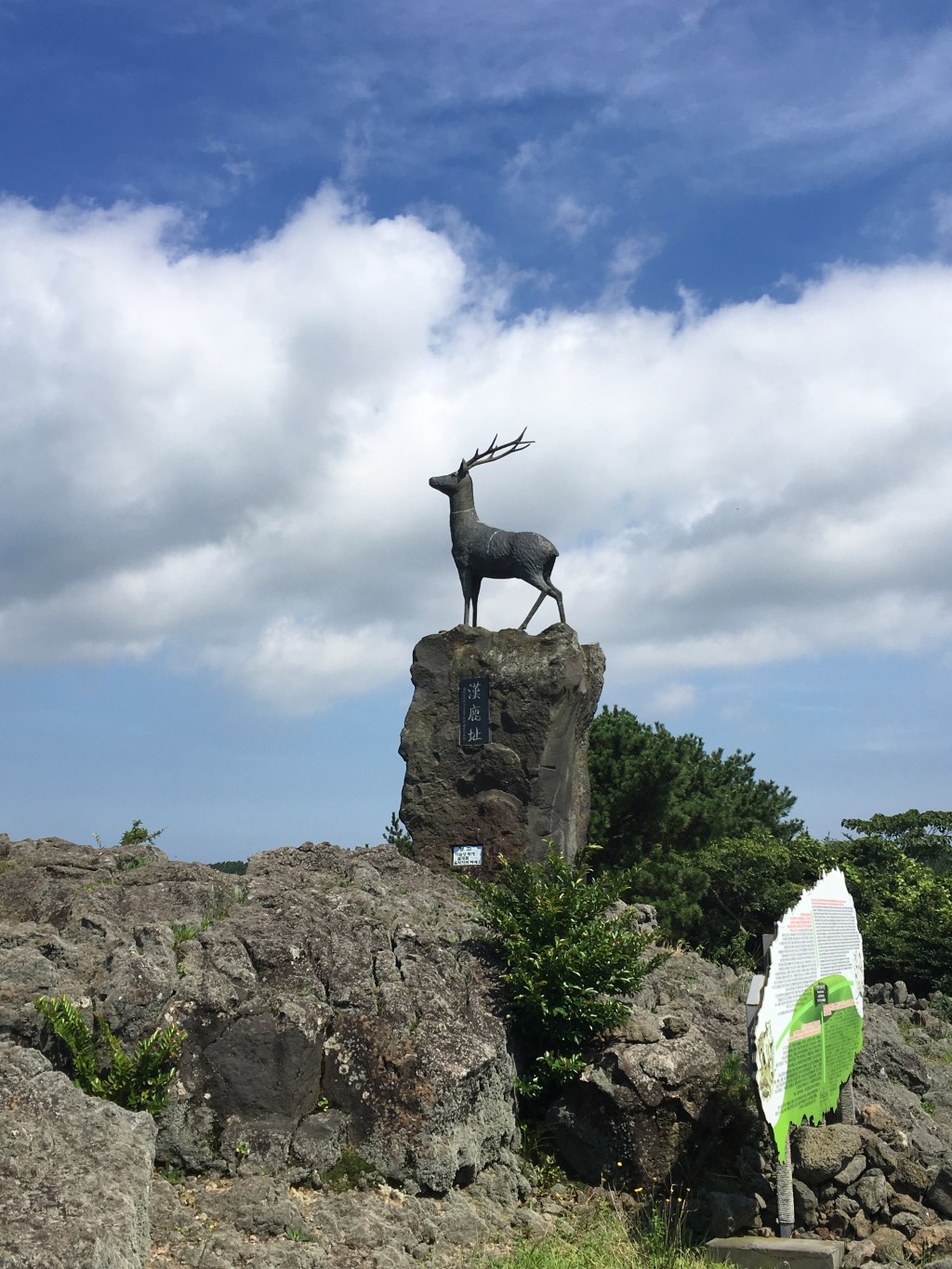 Watchdog @ Sangumburi