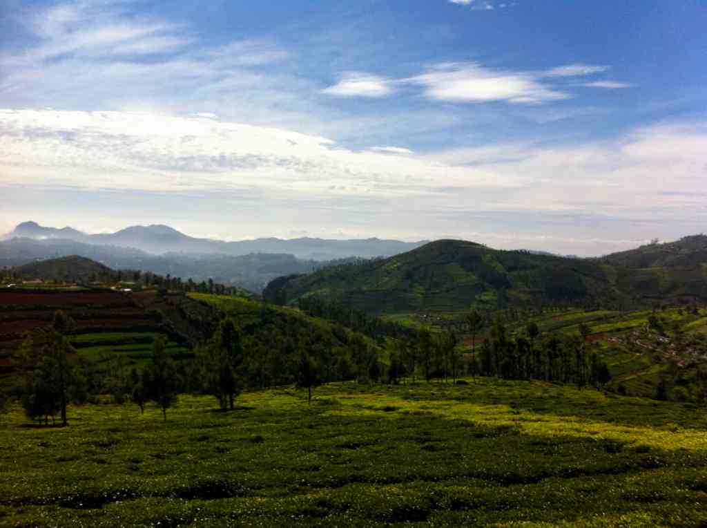 Nilgiris