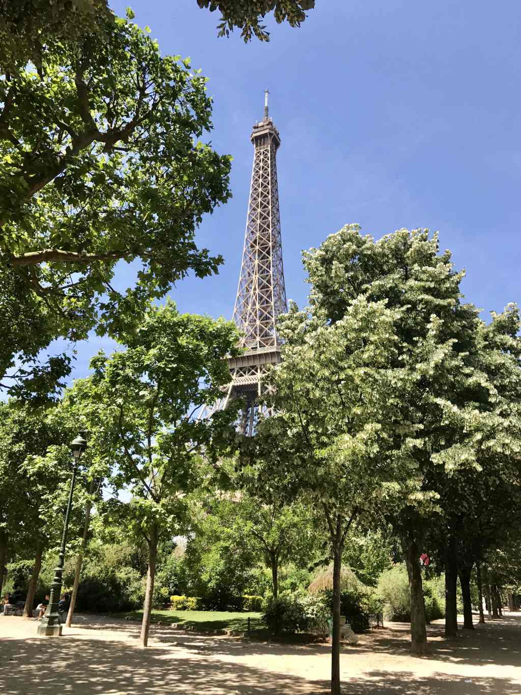 Glimpse of Eiffel&nbsp;Tower