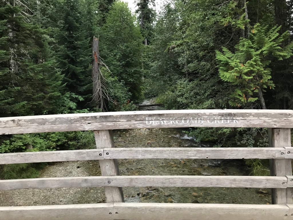 From the morning&nbsp;run