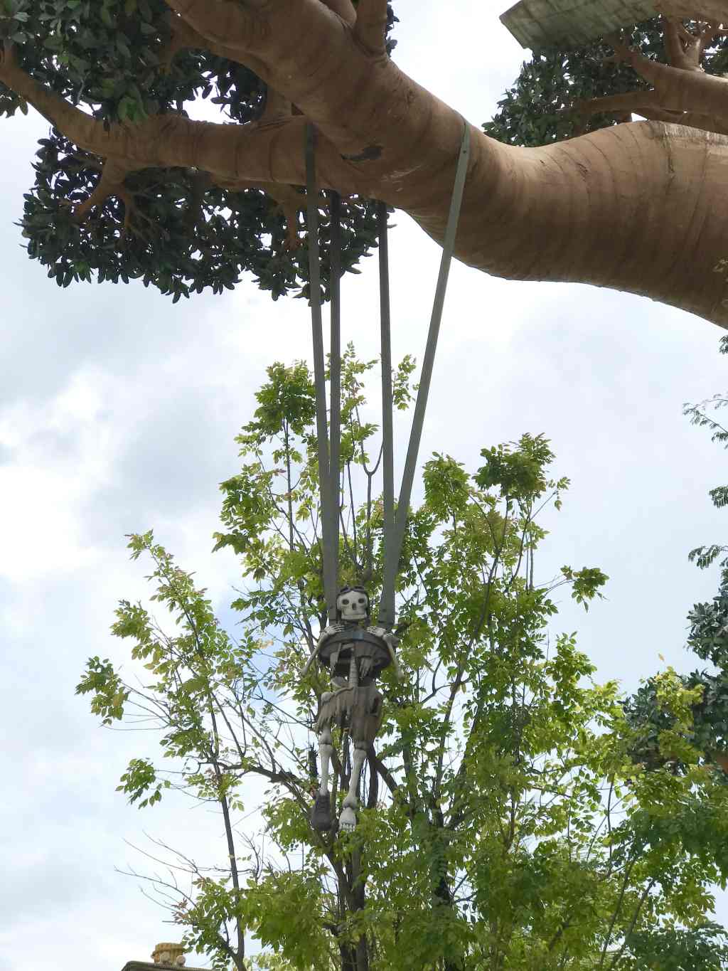 Dead on a&nbsp;tree!