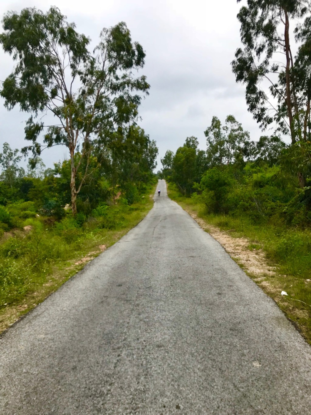Literally empty road.