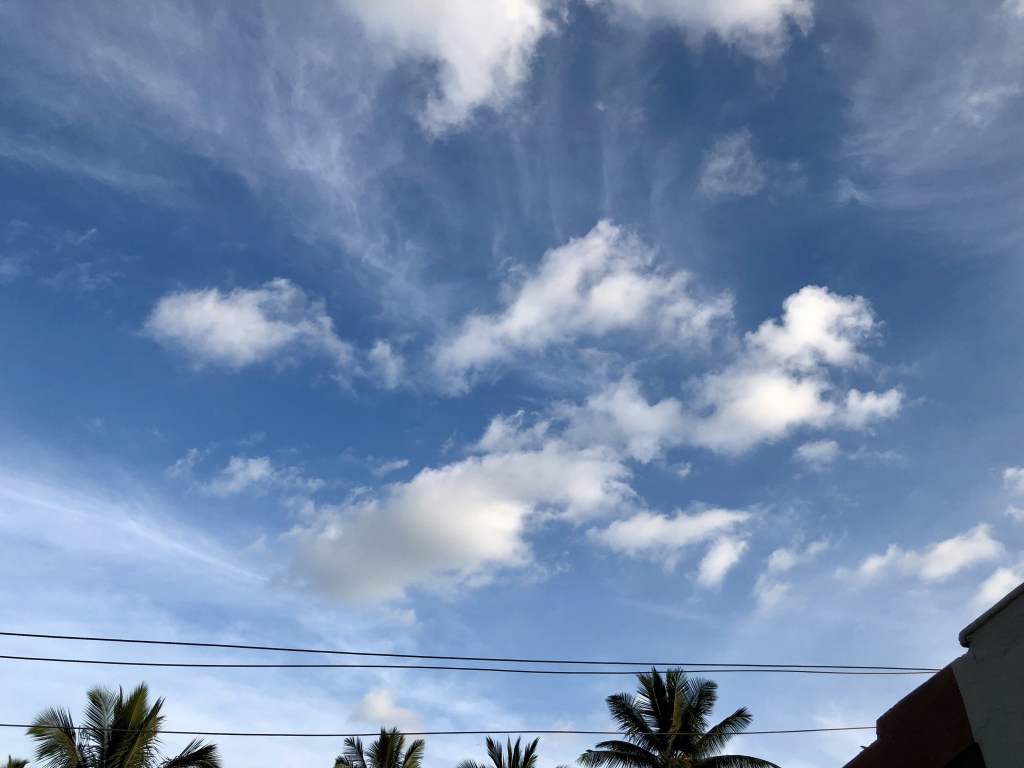 Playing with the&nbsp;X