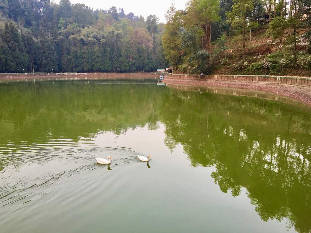 Ducks in a silent&nbsp;lake