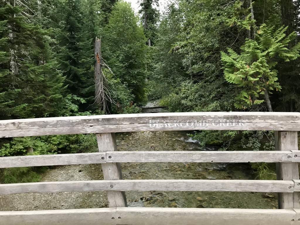 Blackcomb Creek!