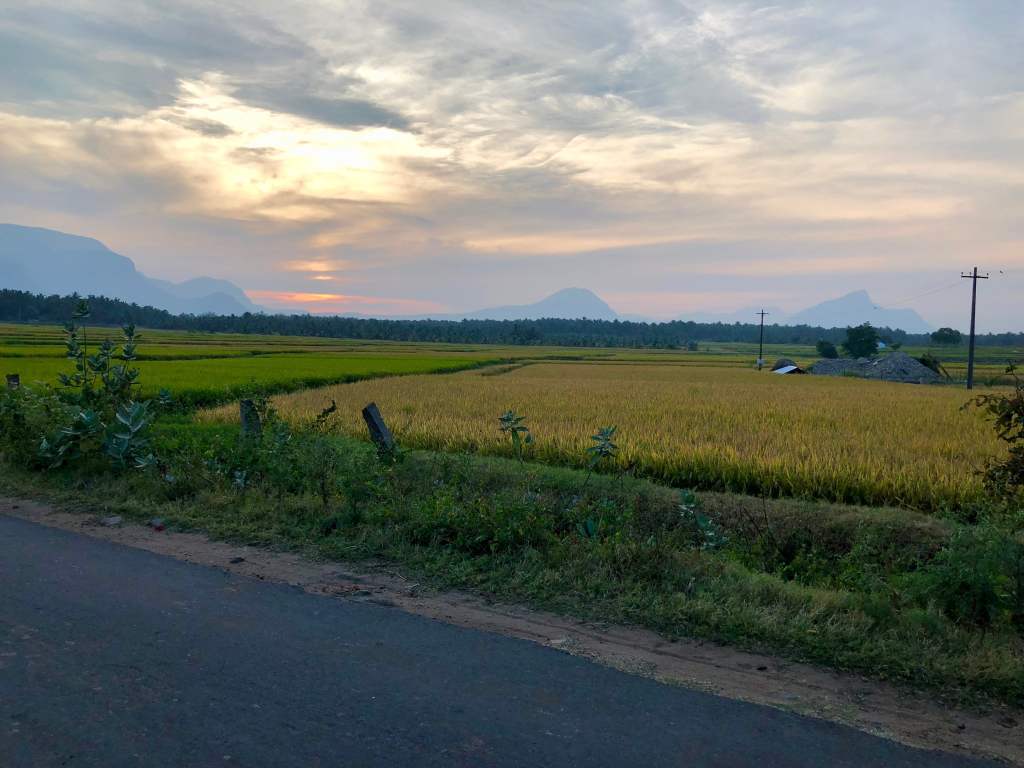 Driving through fields.