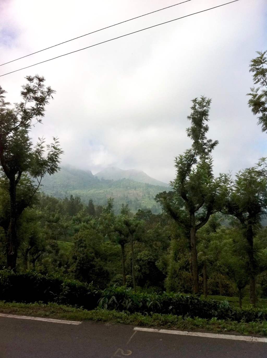 Amidst the mountains!