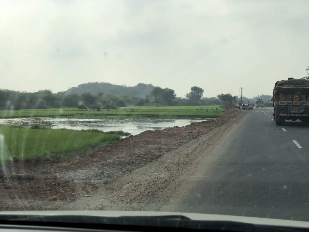 Solar panel & green&nbsp;fields