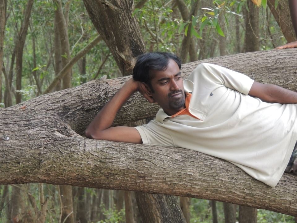 Resting on the&nbsp;tree