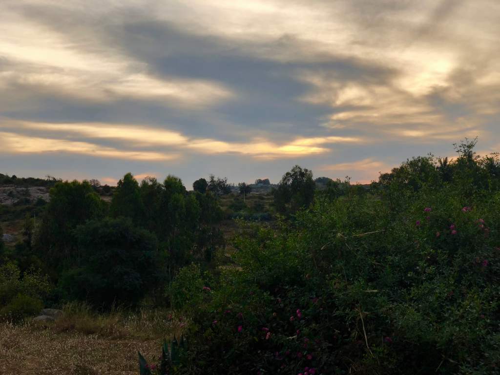 Dusk at the&nbsp;farm