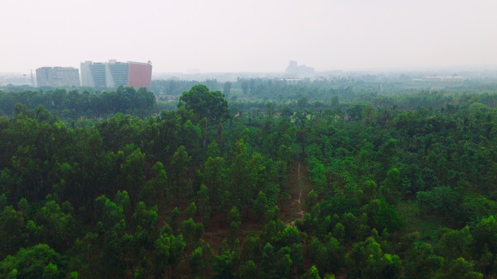 Playing with Raw from&nbsp;iPhone