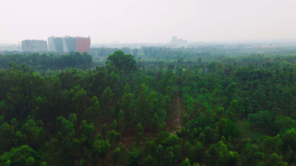 Fresh after a&nbsp;rain