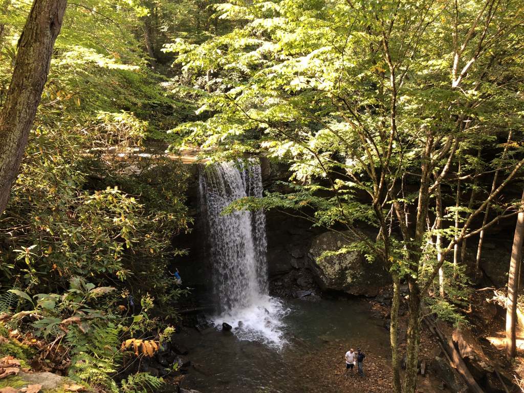 Cucumber falls from the&nbsp;top