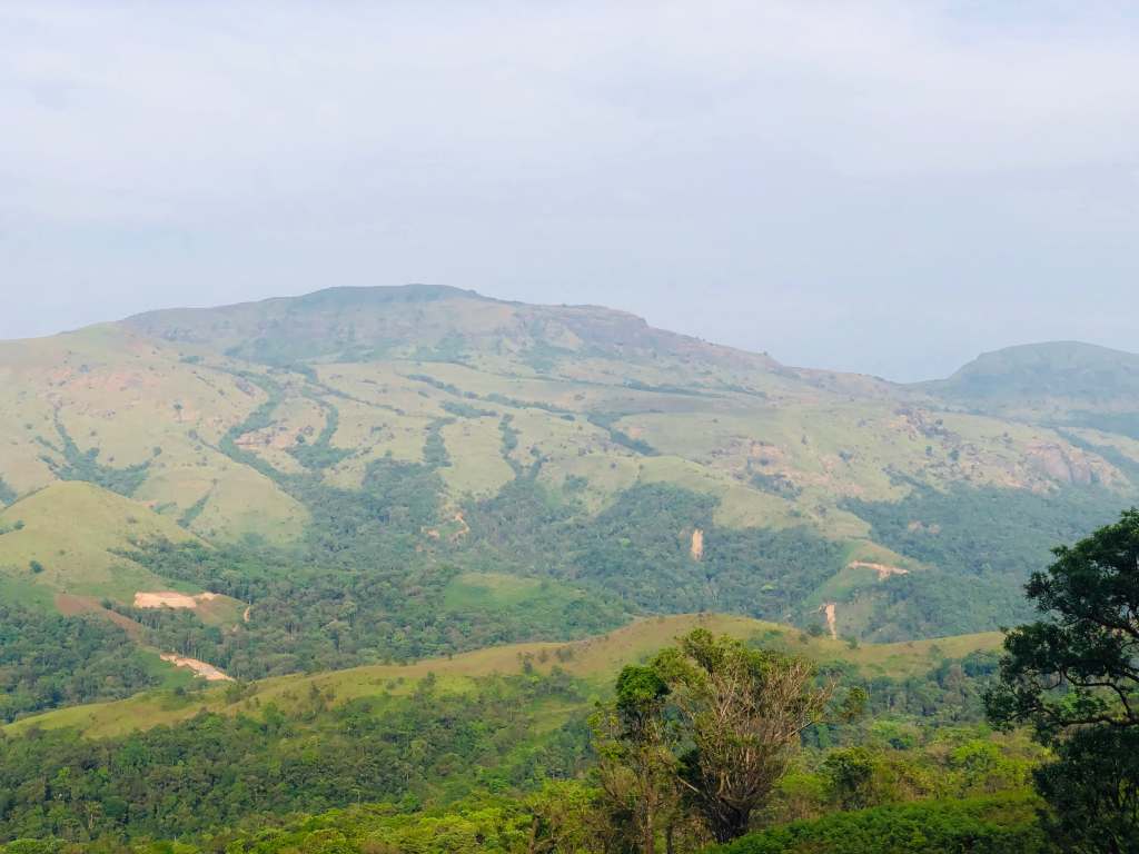 Spot the hanuman&nbsp;face