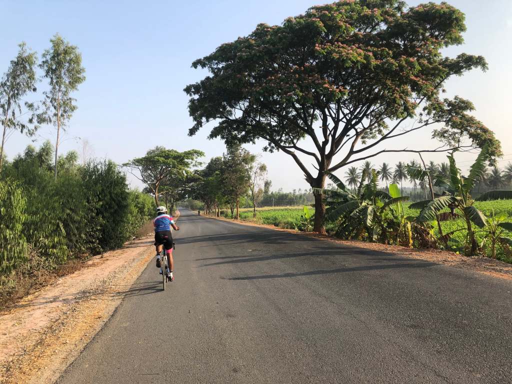 Empty roads amidst&nbsp;greenery