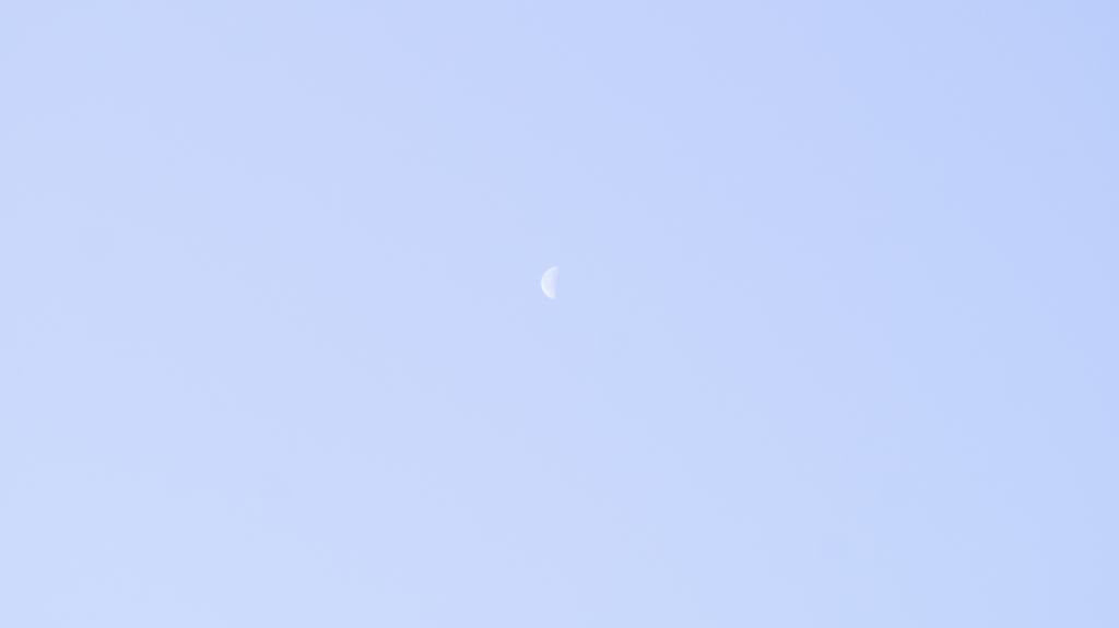 Moon this morning