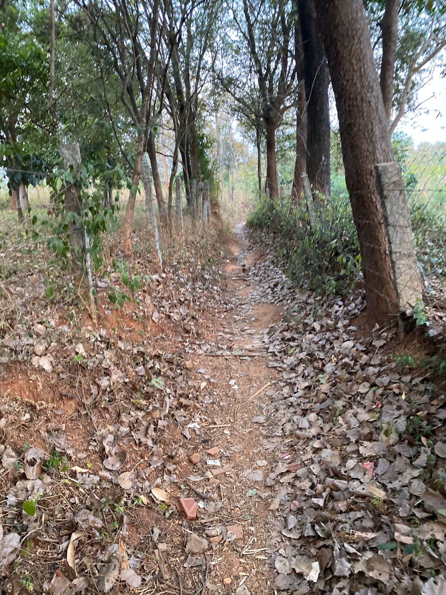 68E3BC60-69DF-4296-BAB7-519135CF2894