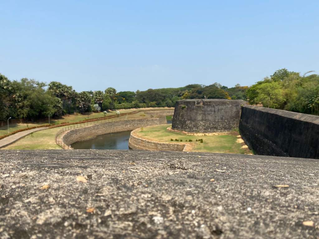 More of the&nbsp;fort!