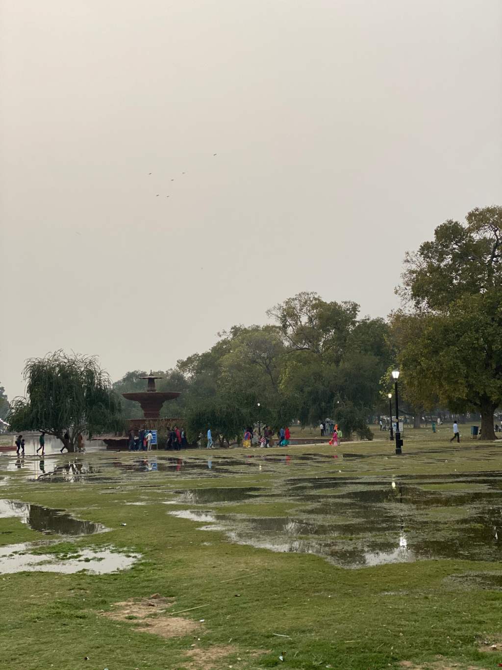 Swarm near India&nbsp;gate