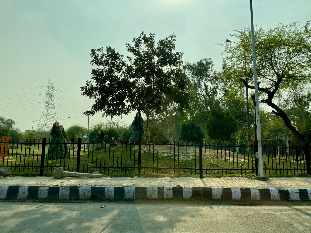 Decor at the&nbsp;park