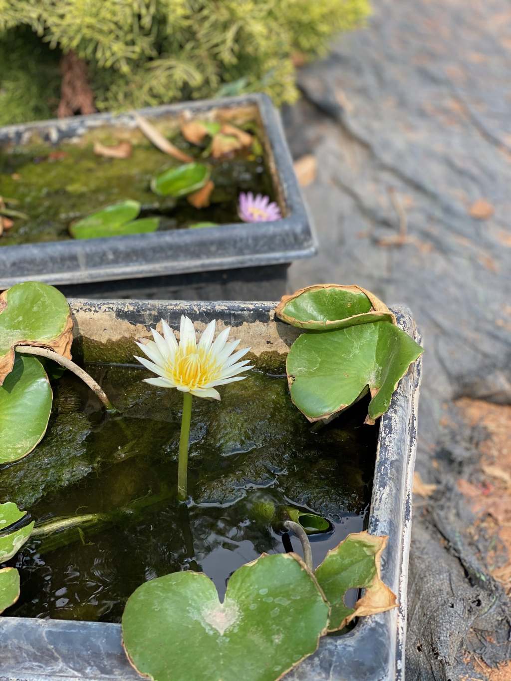 Fresh in the&nbsp;evening!