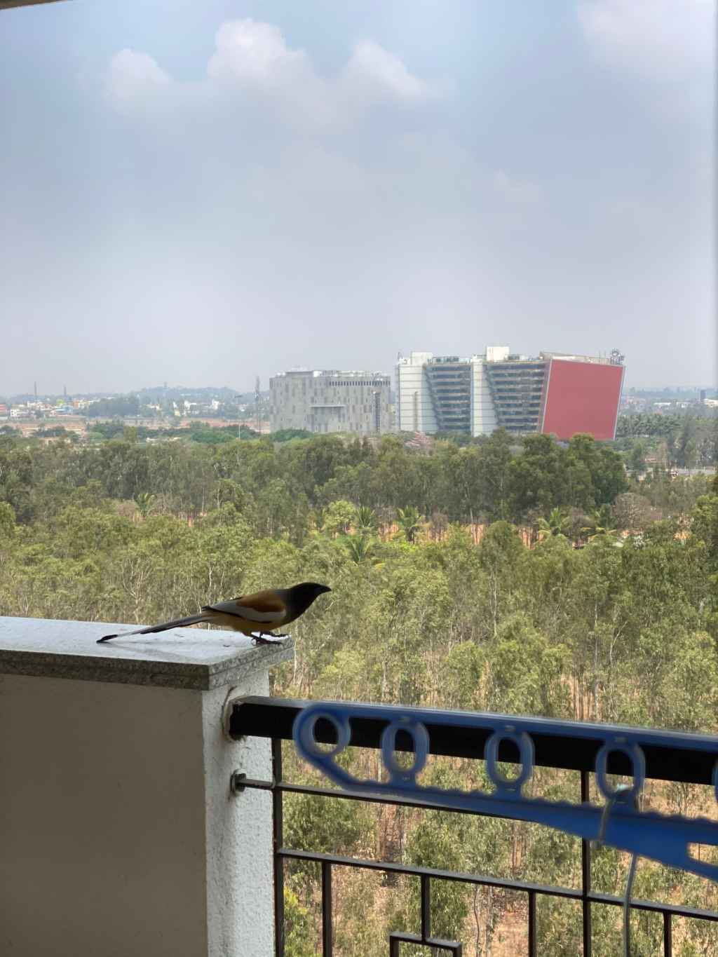 About to take&nbsp;off