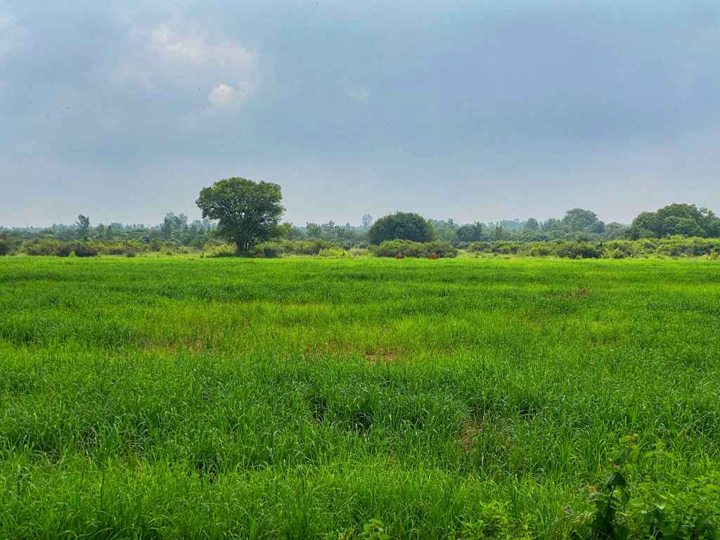 Riding through some&nbsp;fields.