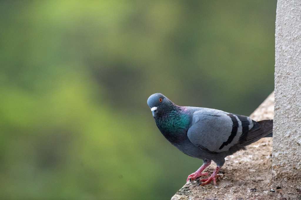 What are you looking&nbsp;at!!