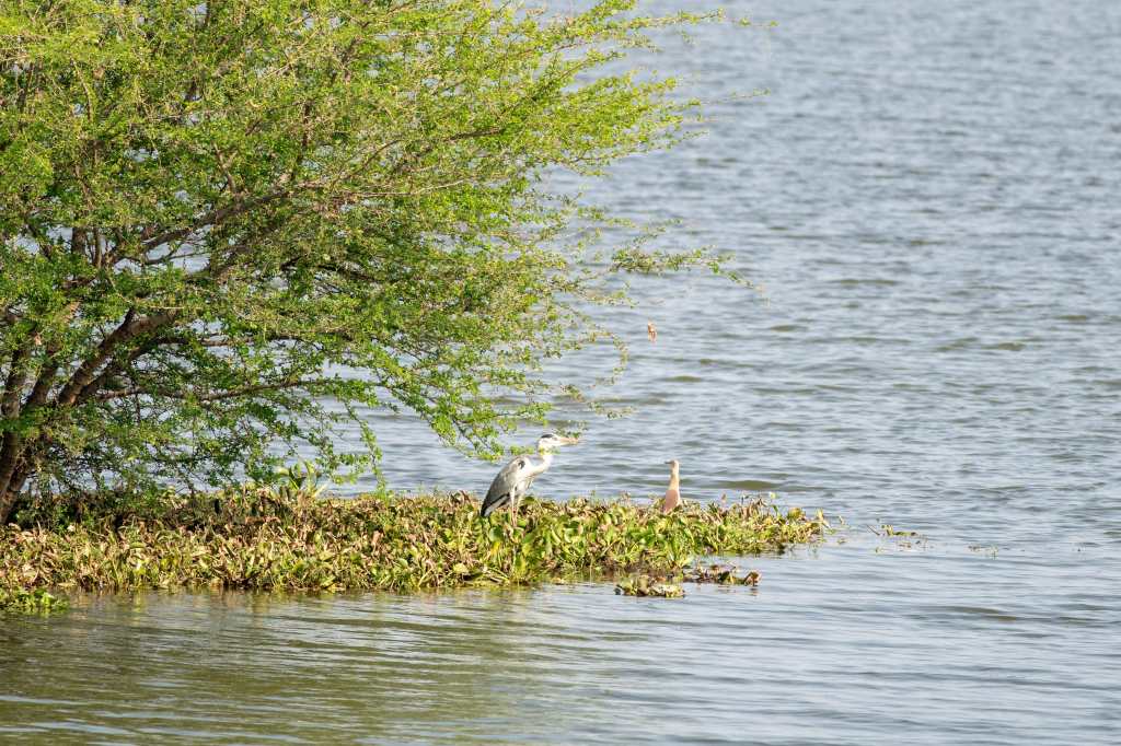 Do you wanna talk about&nbsp;this?