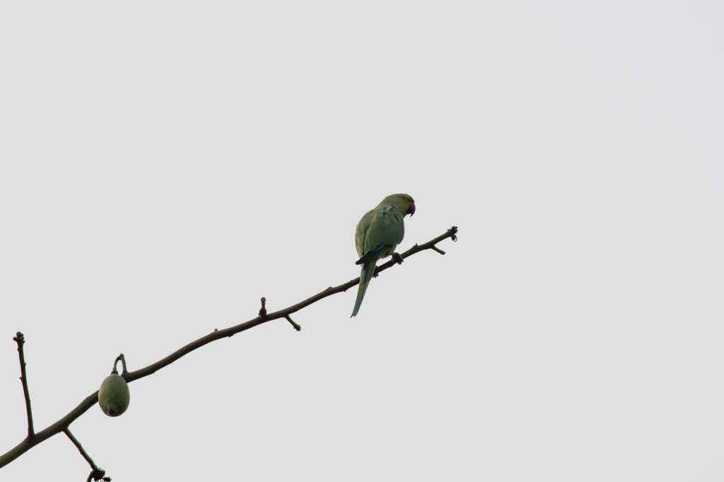 Lonely at the&nbsp;top