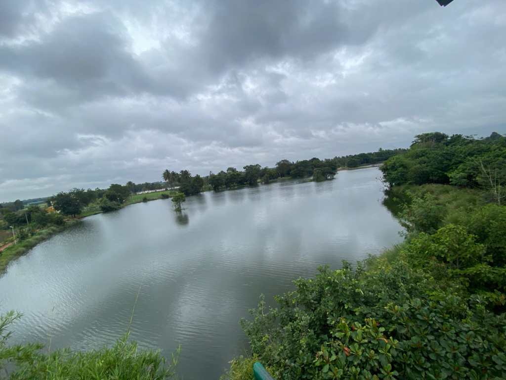 From the watch&nbsp;tower