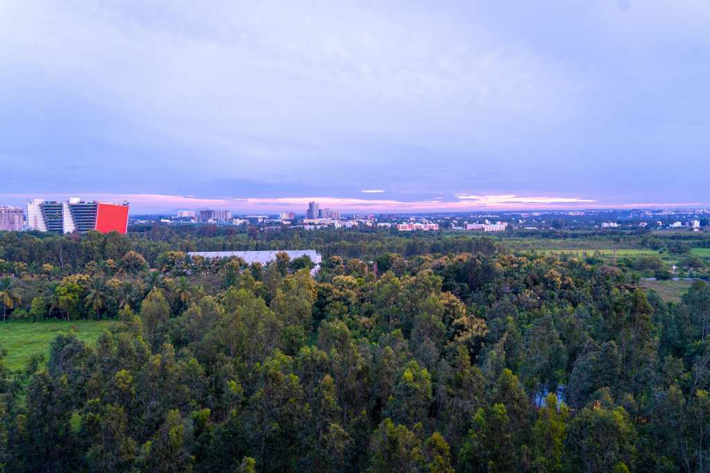 Sunrise Scenes from this&nbsp;morning
