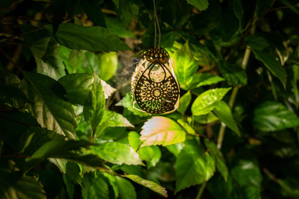 Decorative Lighting.