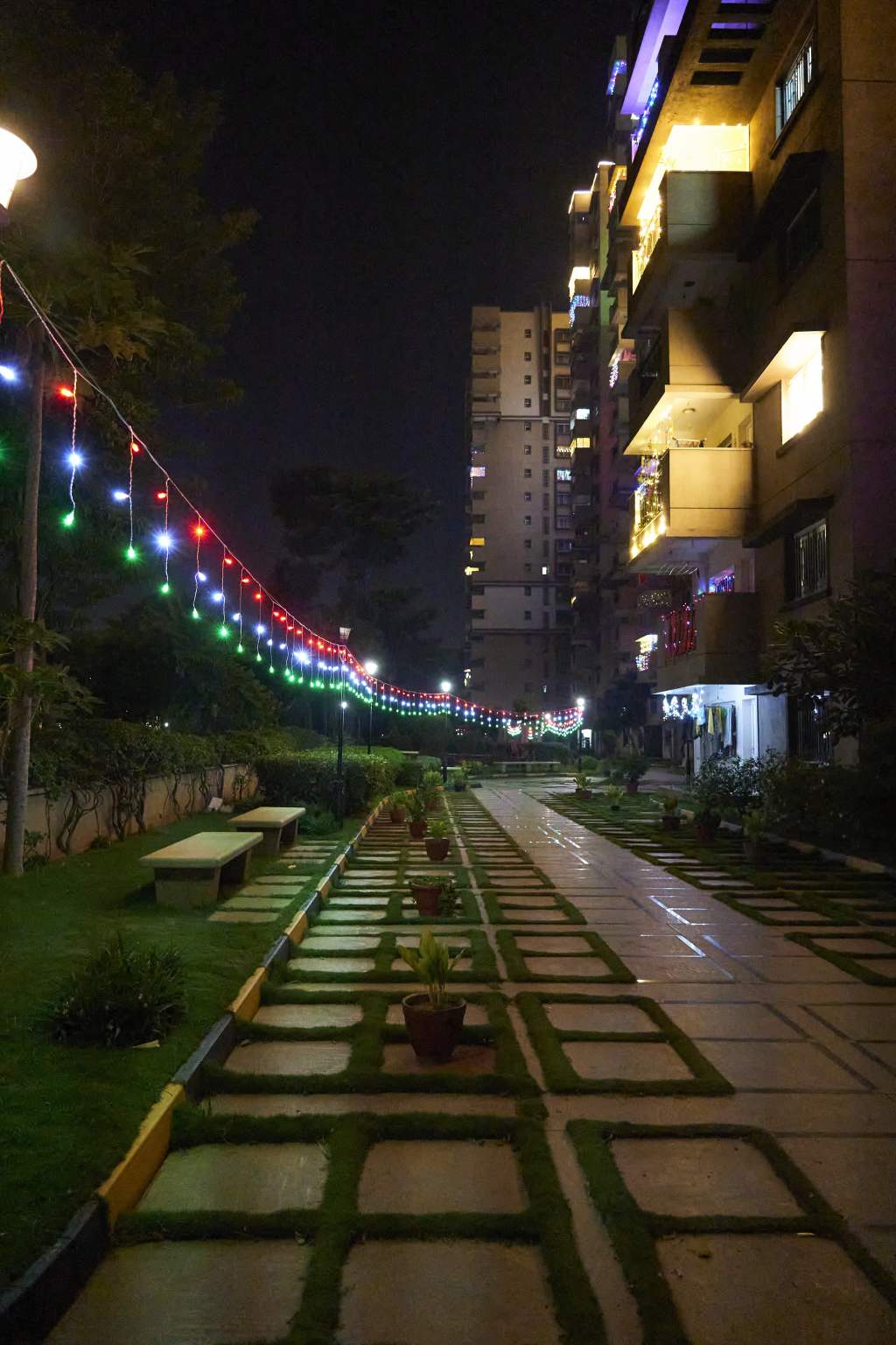 Diwali Lights
