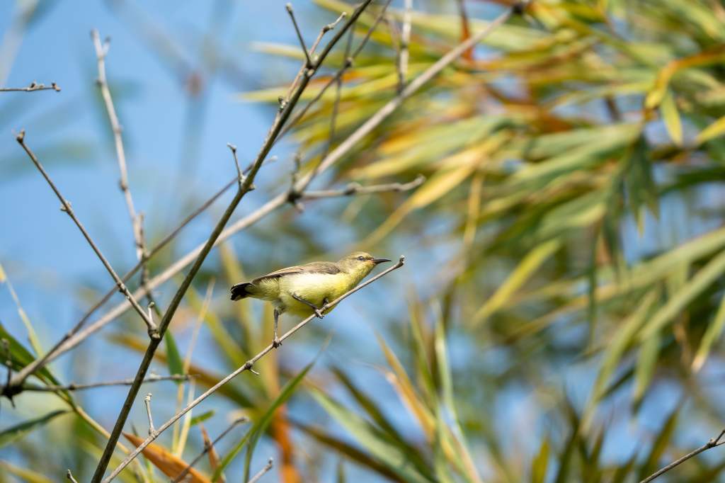 Lean in to&nbsp;pose