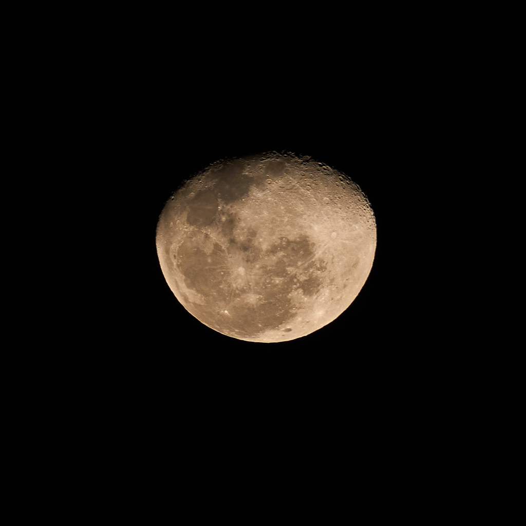 Moon tonight