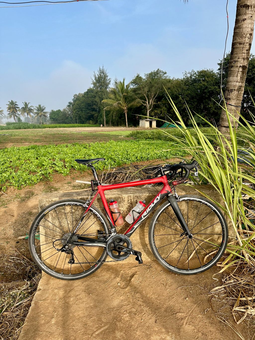Riding through fields