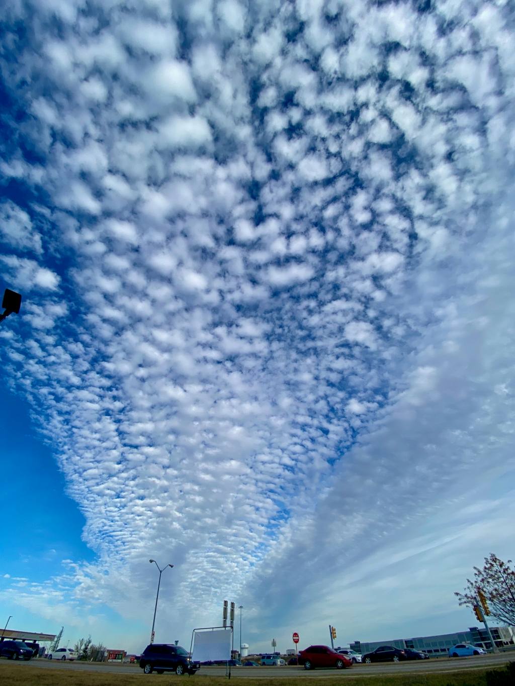 cirrocumulus ??