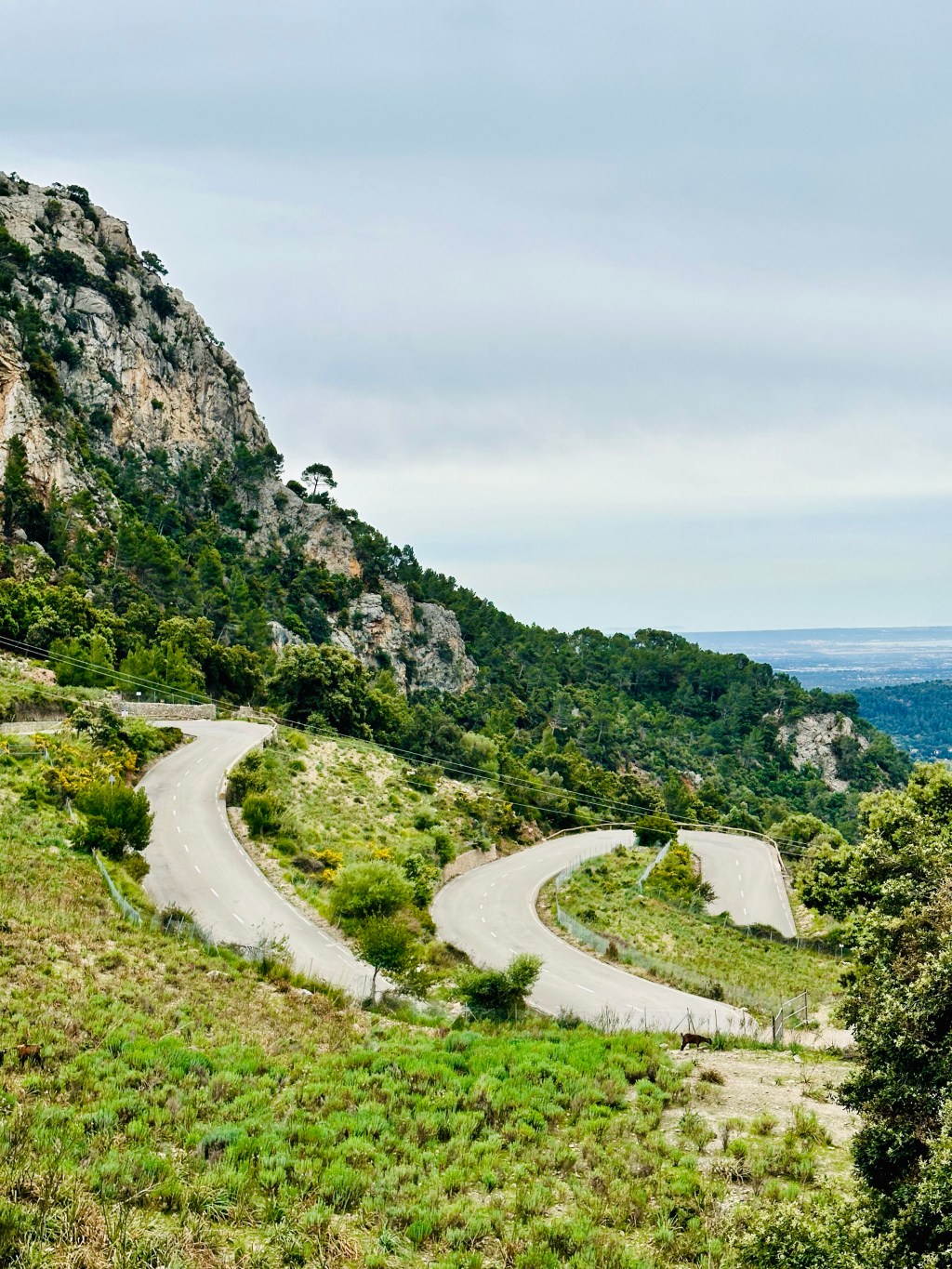 Amongst a scenic descent&nbsp;today.