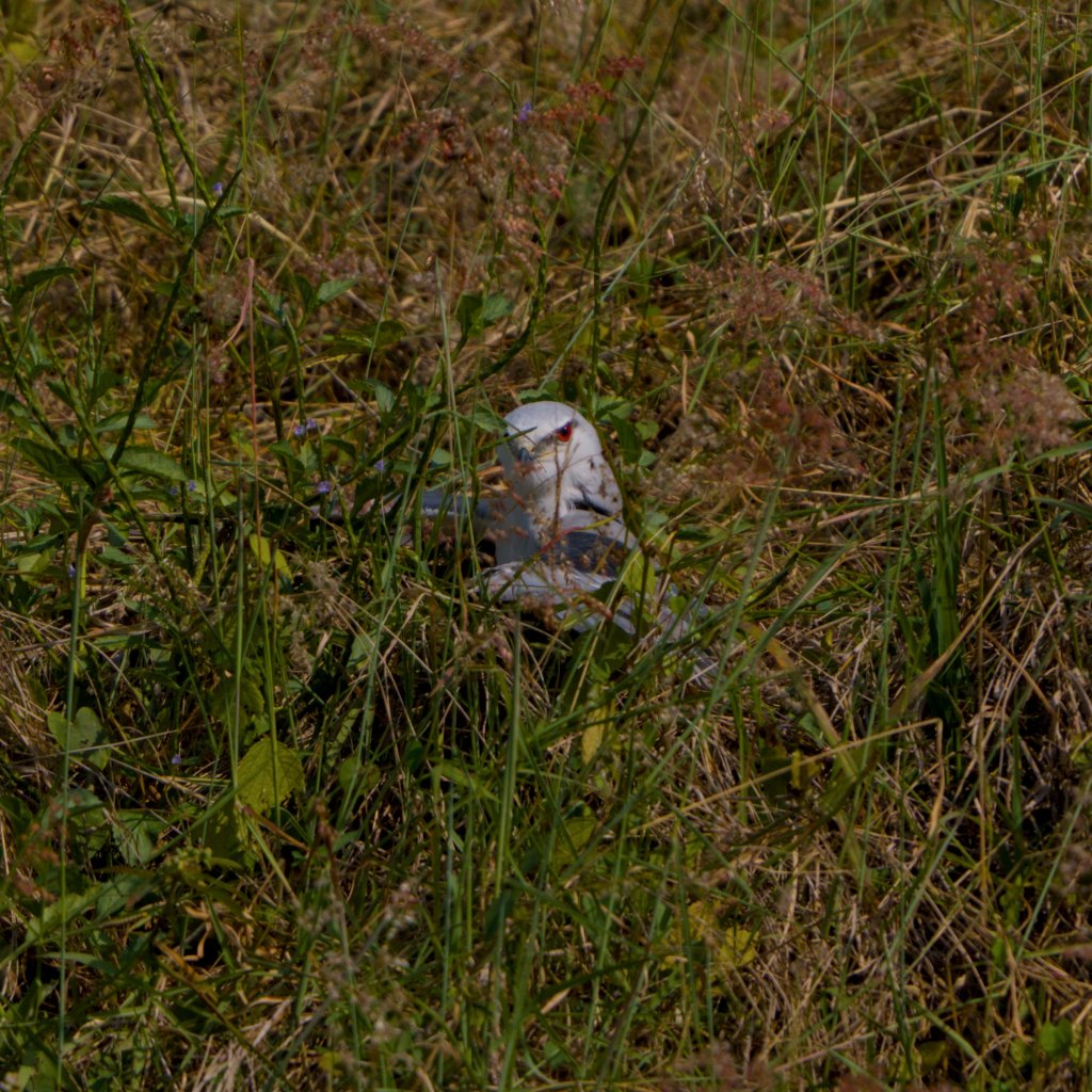 Before and after a&nbsp;Hunt