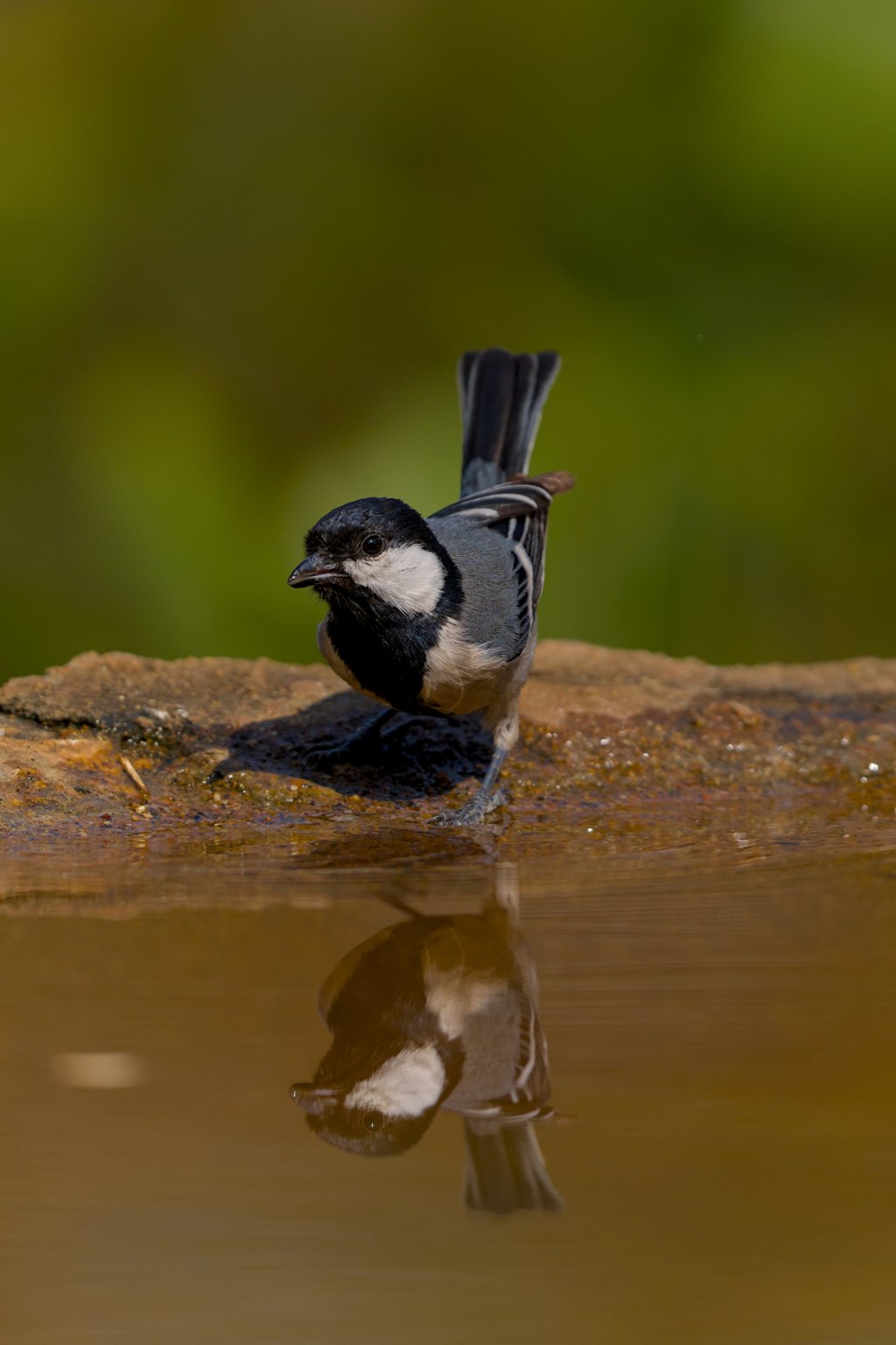 Hey you! I see you&nbsp;too