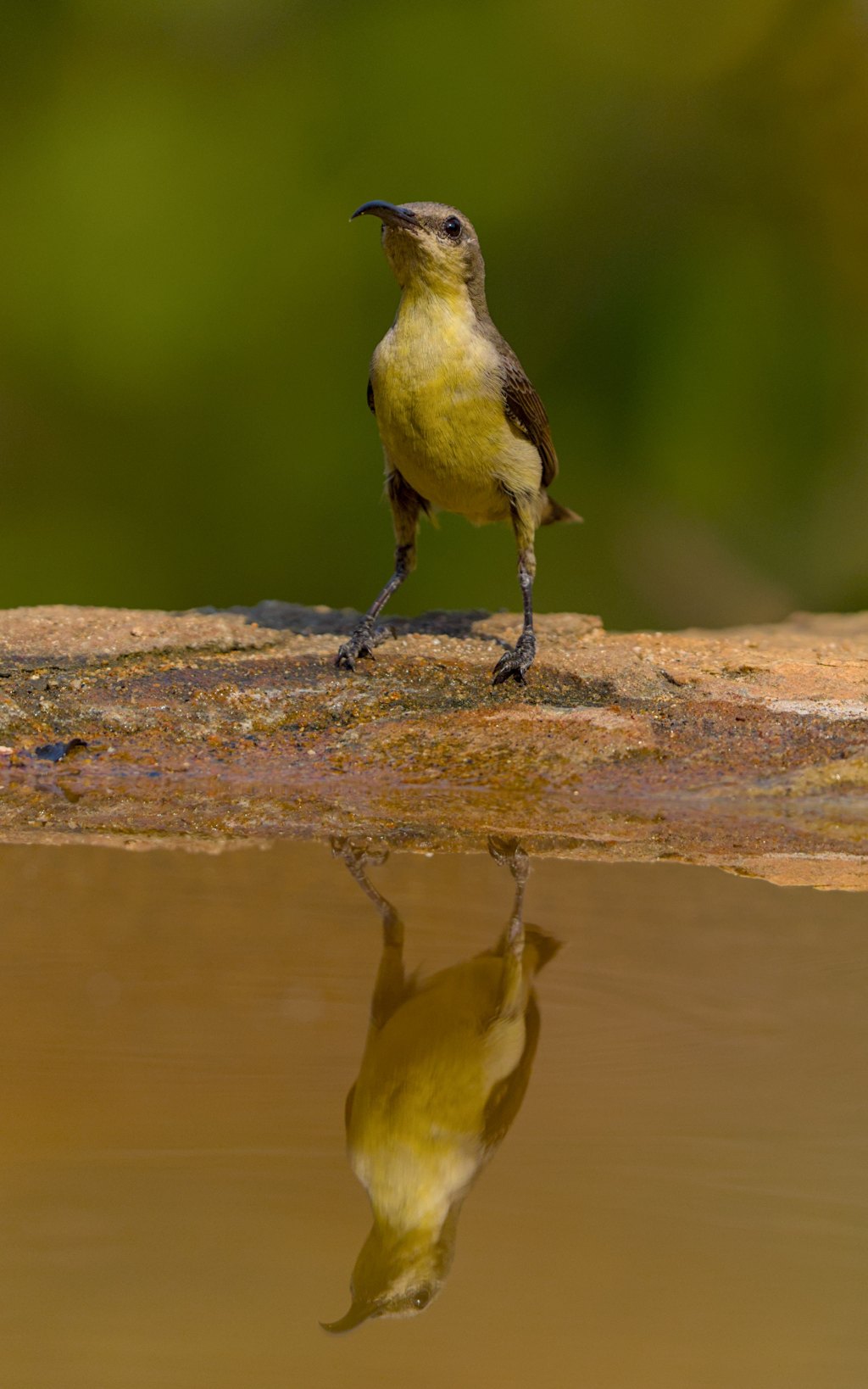 When you stand&nbsp;tall..