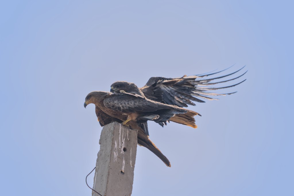 Oops.. sorry about&nbsp;that