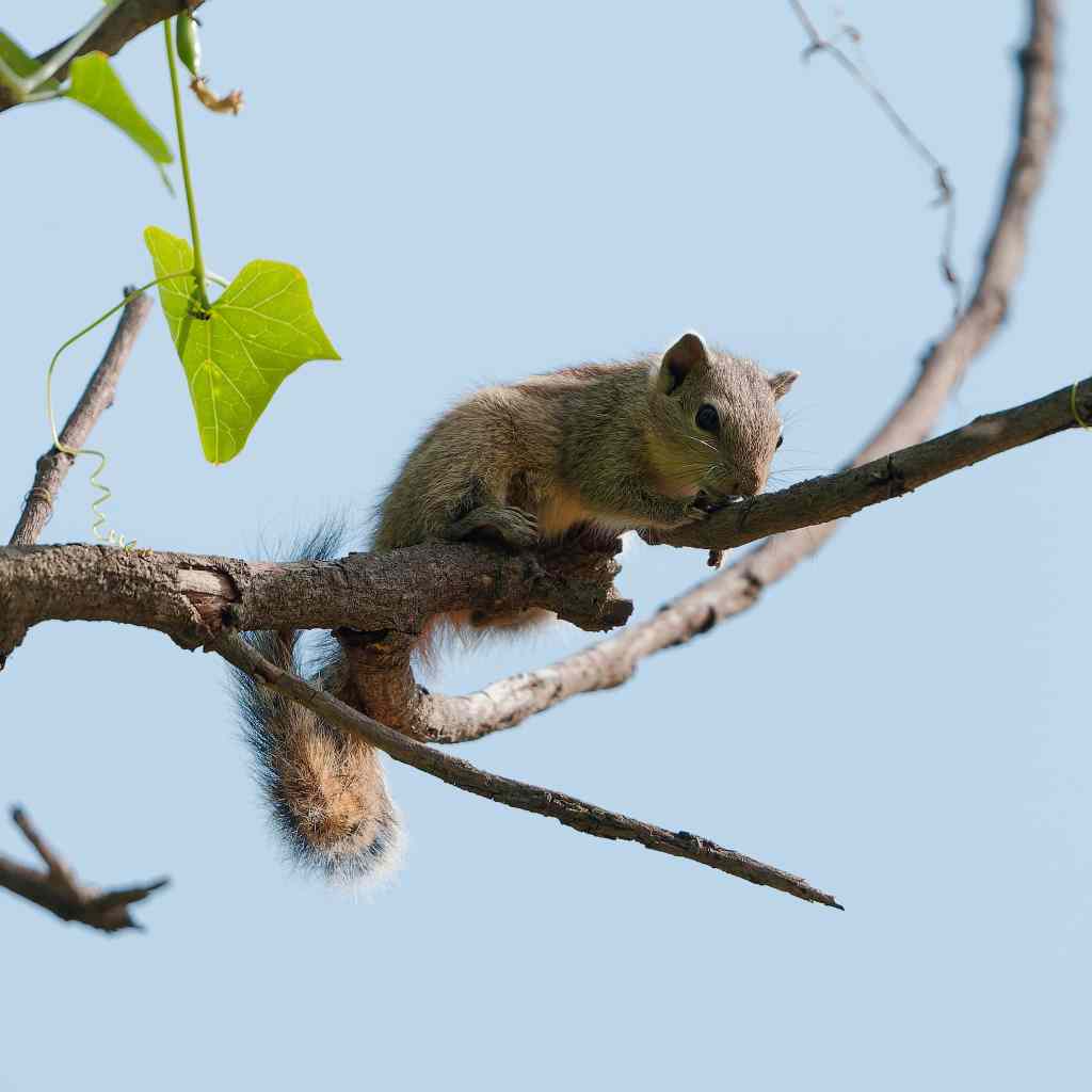 Hanging out in the&nbsp;Sun