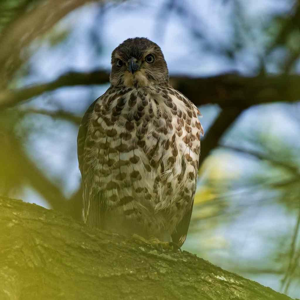 Hey you, what are you looking&nbsp;at..