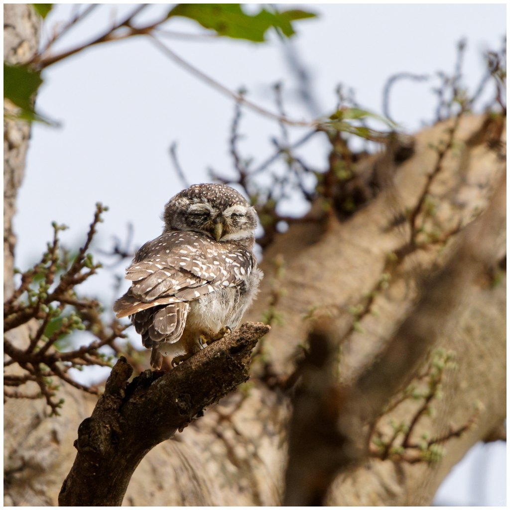 May be sun&nbsp;bathing!!
