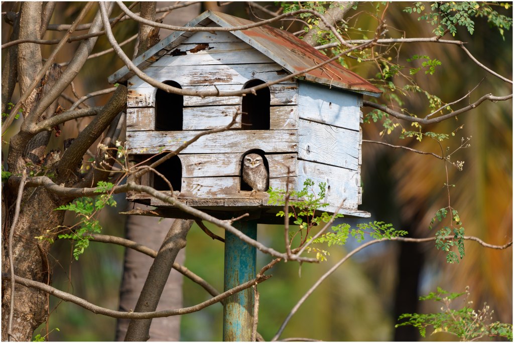 My House.. My&nbsp;rules!