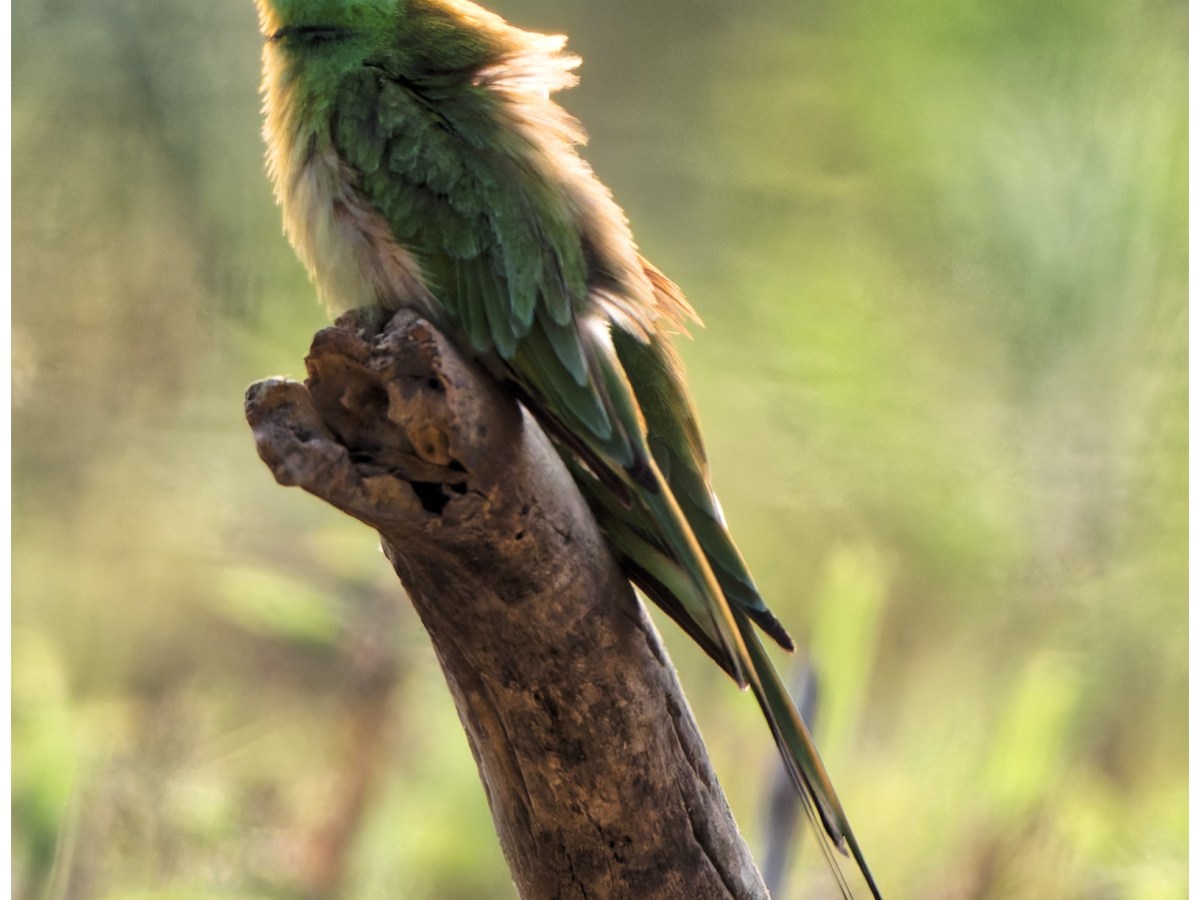 Sometimes a good shot makes you feel&nbsp;good.